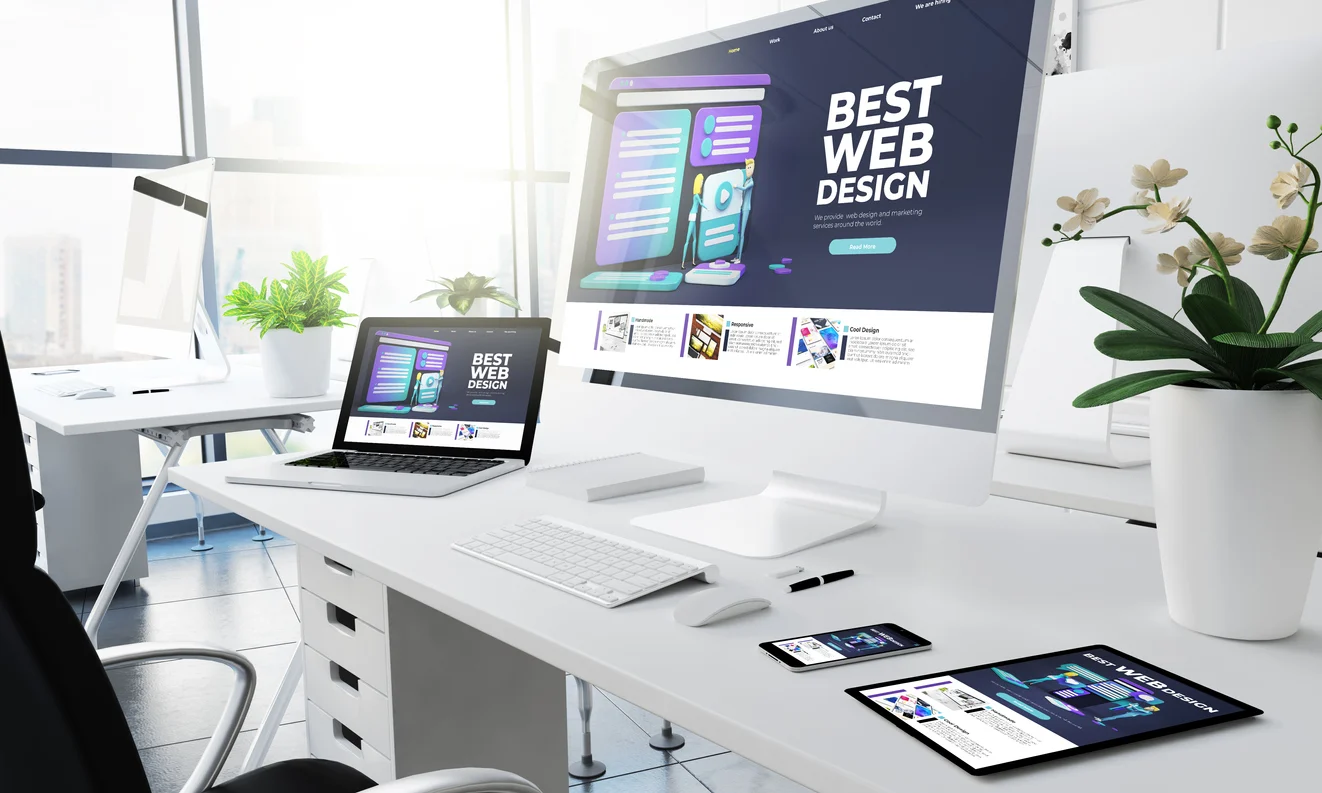 Advanced Web Design Course for WordPress learners